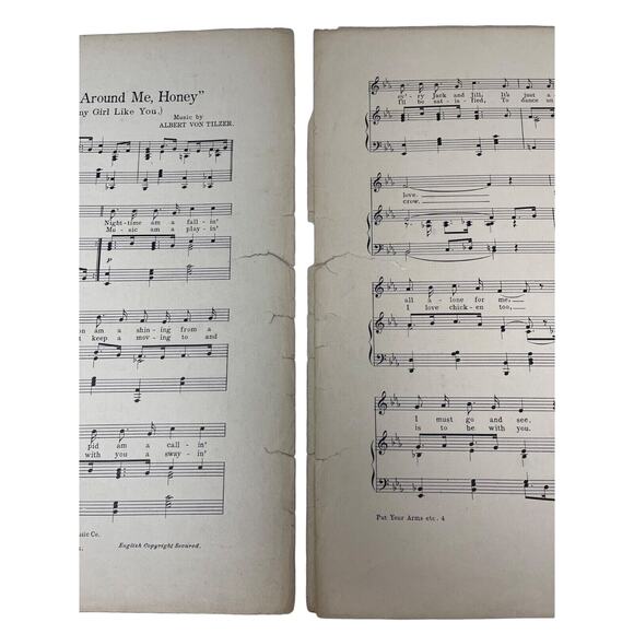 Put Your Arms Around Me Honey Sheet Music Junie McCree Albert VonTilzer - Picture 4 of 9
